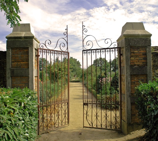 Into the Garden